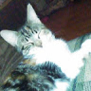 Meet your Posher, Leslie